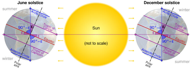 温帯の特徴・温暖な地域の暮らしをわかりやすく【地理】｜モチオカの社会科マガジン