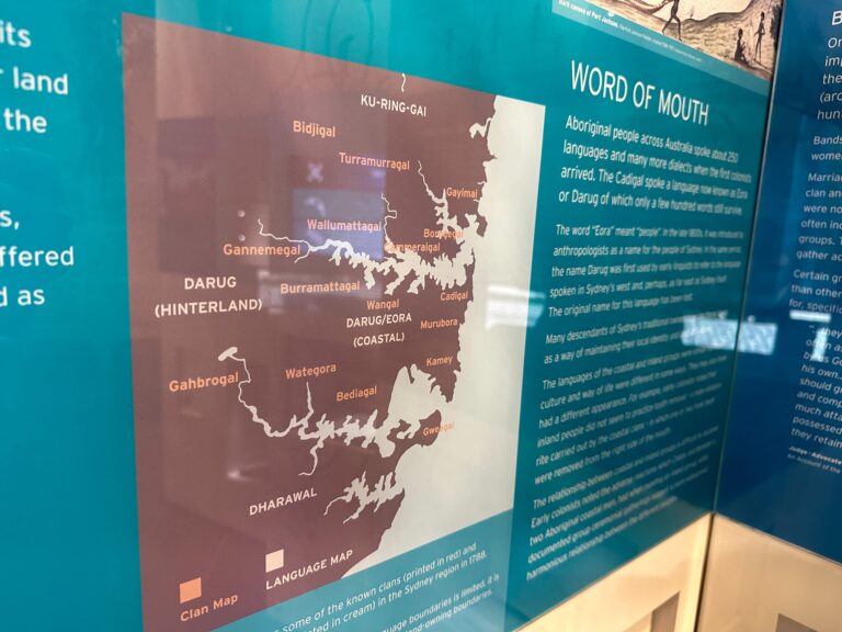 オーストラリアの歴史をざっくりまとめた【世界の歴史】|モチオカの社会科マガジン