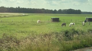 なぜ狩猟採集社会より農耕社会の方が、人口が多くなるのか?