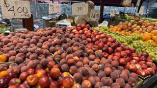 農業は「人手が必要な産業」なのか?穀物と野菜の違い