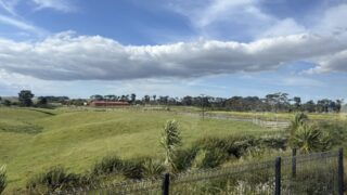 【地理】温帯の特徴・温暖な地域の暮らしをわかりやすく