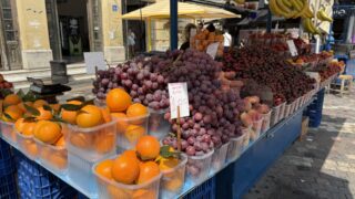 ヨーロッパの農業をわかりやすく:地域差が大きいからこそ・・・