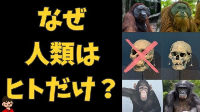 なぜ地球上の人類は「ヒト」だけなのか？